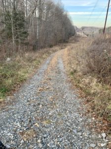 Looking down the gravel road by my house